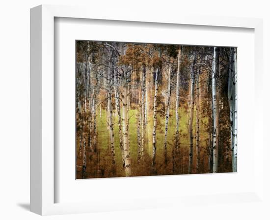 Crunchy-Ursula Abresch-Framed Photographic Print