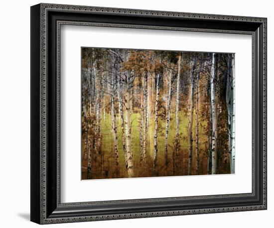 Crunchy-Ursula Abresch-Framed Photographic Print