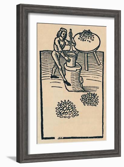 'Crushing Herbs in a Mortar', 1947-Unknown-Framed Giclee Print