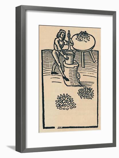 'Crushing Herbs in a Mortar', 1947-Unknown-Framed Giclee Print