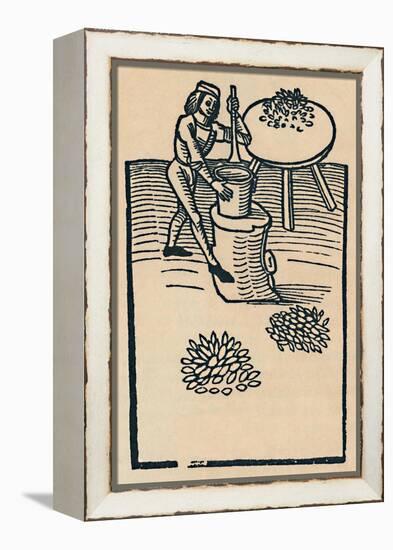 'Crushing Herbs in a Mortar', 1947-Unknown-Framed Premier Image Canvas