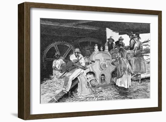 Crushing the Cane, 1886-W Mollier-Framed Giclee Print