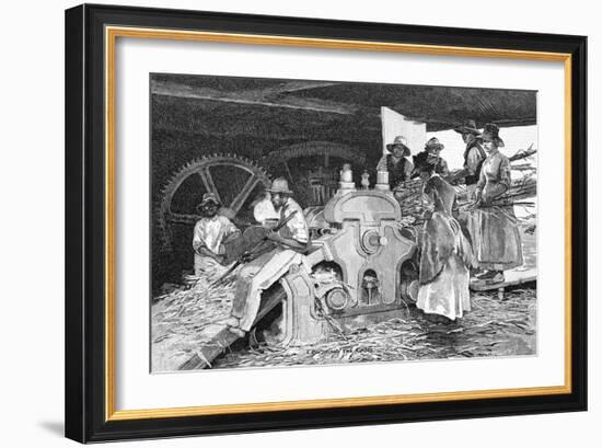 Crushing the Cane, 1886-W Mollier-Framed Giclee Print