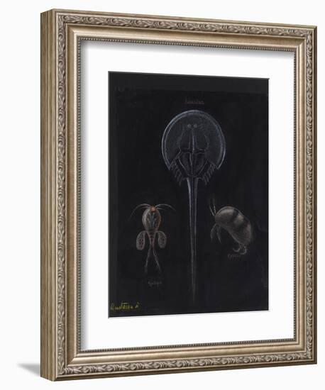 Crustacea-Philip Henry Gosse-Framed Giclee Print