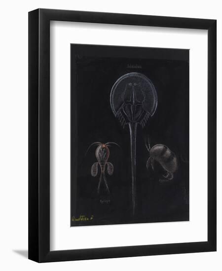 Crustacea-Philip Henry Gosse-Framed Giclee Print