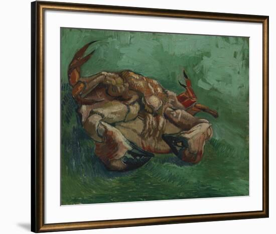 Crustacean Lying On His Back-Vincent Van Gogh-Framed Premium Giclee Print