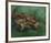 Crustacean Lying On His Back-Vincent Van Gogh-Framed Premium Giclee Print