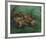 Crustacean Lying On His Back-Vincent Van Gogh-Framed Premium Giclee Print