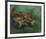 Crustacean Lying On His Back-Vincent Van Gogh-Framed Premium Giclee Print