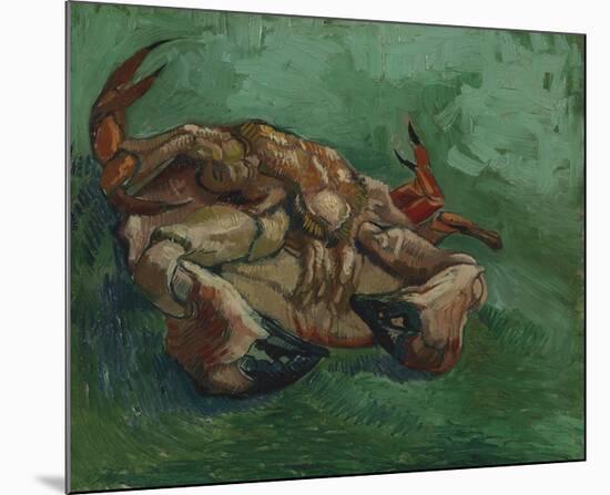 Crustacean Lying On His Back-Vincent Van Gogh-Mounted Premium Giclee Print