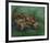 Crustacean Lying On His Back-Vincent Van Gogh-Framed Premium Giclee Print