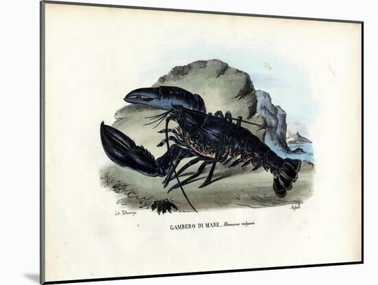 Crustaceans, 1863-79-Raimundo Petraroja-Mounted Giclee Print