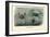 Crustaceans, 1863-79-Raimundo Petraroja-Framed Giclee Print