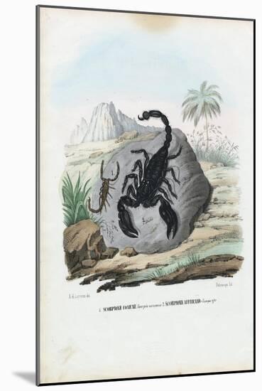 Crustaceans, 1863-79-Raimundo Petraroja-Mounted Giclee Print