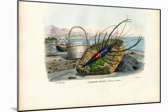 Crustaceans, 1863-79-Raimundo Petraroja-Mounted Giclee Print