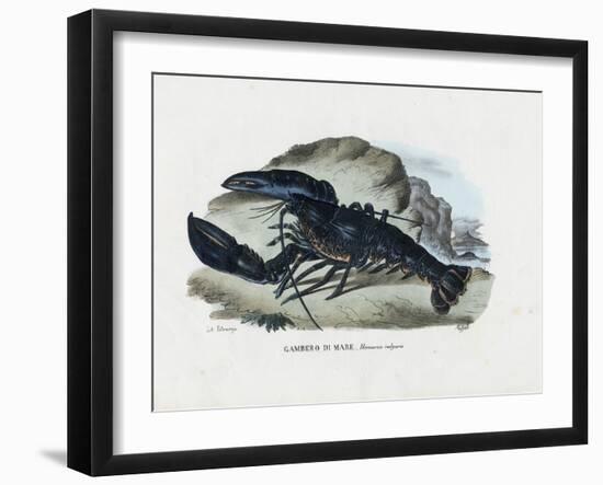 Crustaceans, 1863-79-Raimundo Petraroja-Framed Giclee Print