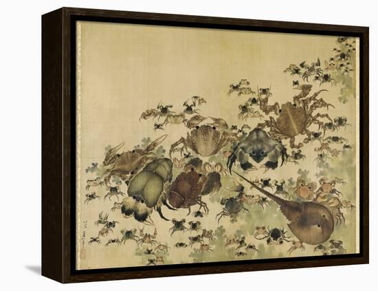 Crustaceans, Edo Period C.1825-Katsushika Hokusai-Framed Premier Image Canvas