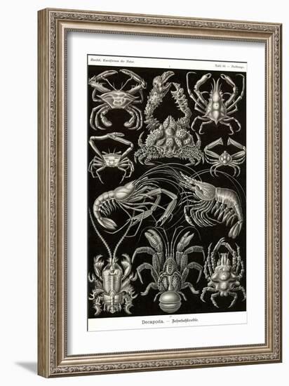 Crustaceans-Ernst Haeckel-Framed Art Print