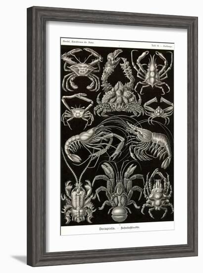 Crustaceans-Ernst Haeckel-Framed Art Print