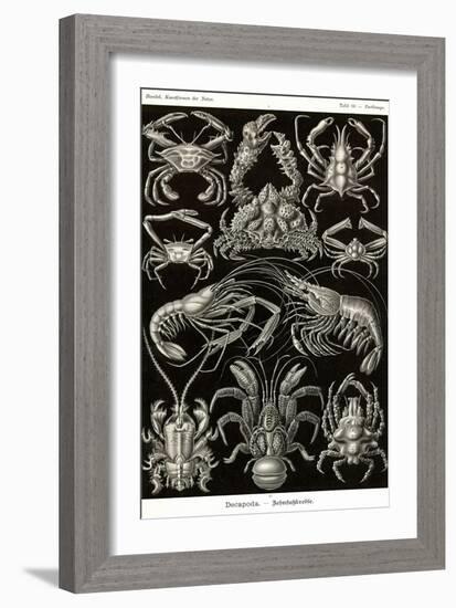 Crustaceans-Ernst Haeckel-Framed Art Print