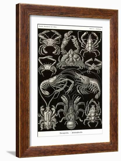 Crustaceans-Ernst Haeckel-Framed Art Print