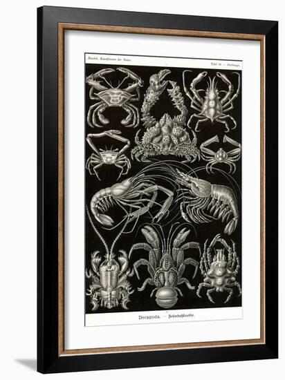 Crustaceans-Ernst Haeckel-Framed Art Print