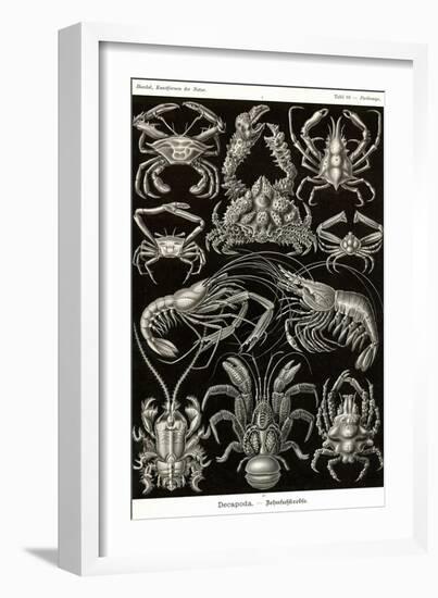 Crustaceans-Ernst Haeckel-Framed Art Print