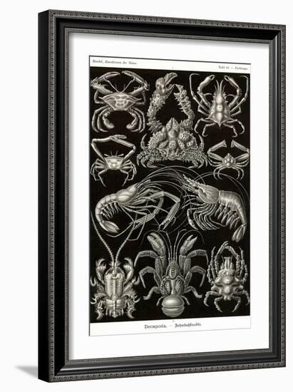 Crustaceans-Ernst Haeckel-Framed Art Print
