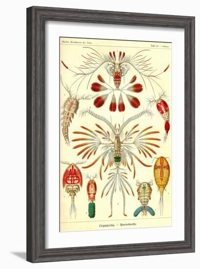 Crustaceans-Ernst Haeckel-Framed Art Print