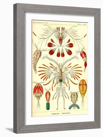 Crustaceans-Ernst Haeckel-Framed Art Print