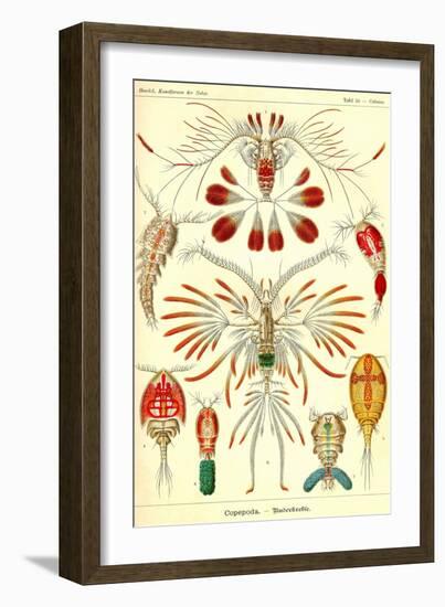 Crustaceans-Ernst Haeckel-Framed Art Print