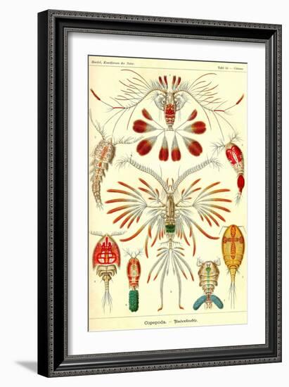 Crustaceans-Ernst Haeckel-Framed Art Print