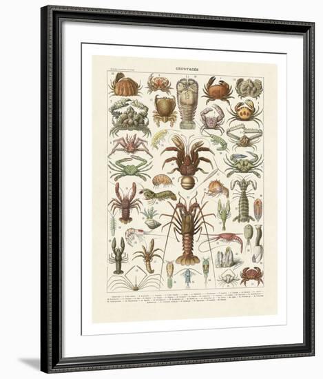 Crustaces-Adolphe Millot-Framed Art Print