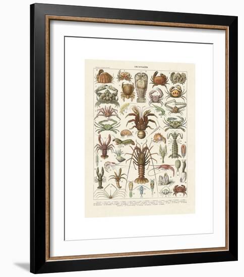 Crustaces-Adolphe Millot-Framed Giclee Print