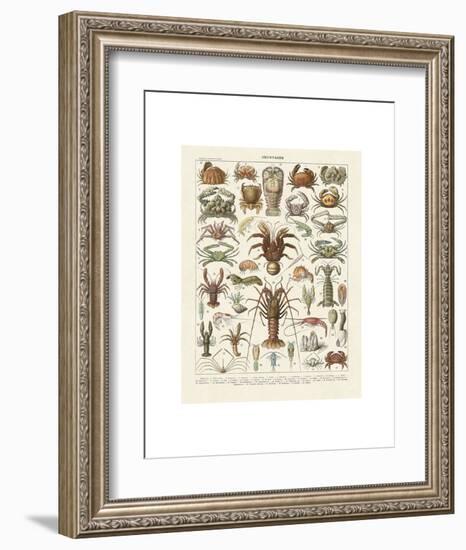 Crustaces-Adolphe Millot-Framed Art Print