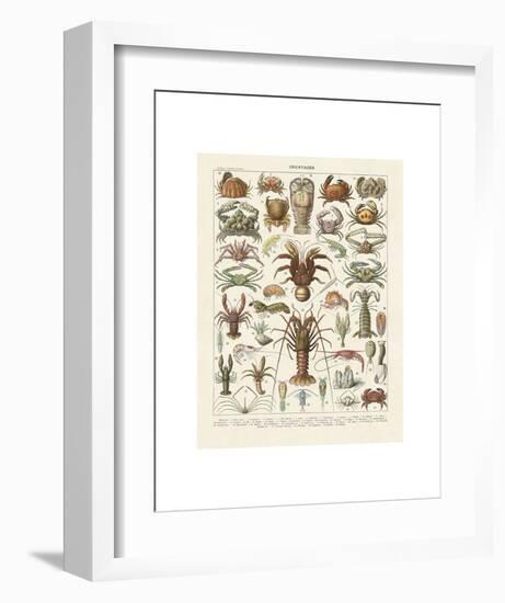 Crustaces-Adolphe Millot-Framed Art Print