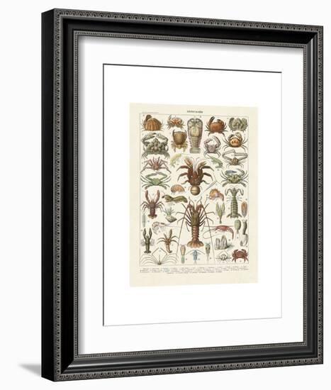 Crustaces-Adolphe Millot-Framed Art Print