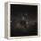 Crux Constellation-Eckhard Slawik-Framed Premier Image Canvas