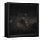 Crux Constellation-Eckhard Slawik-Framed Premier Image Canvas