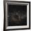 Crux Constellation-Eckhard Slawik-Framed Premium Photographic Print