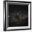 Crux Constellation-Eckhard Slawik-Framed Premium Photographic Print