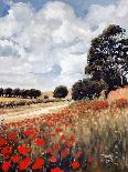 Wild Poppies, Hertfordshire, 2010-Cruz Jurado Traverso-Giclee Print