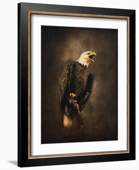 Crying for the Lost Bald Eagle-Jai Johnson-Framed Premium Giclee Print