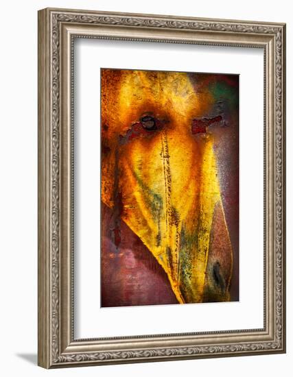 Crying Horse-Ursula Abresch-Framed Photographic Print