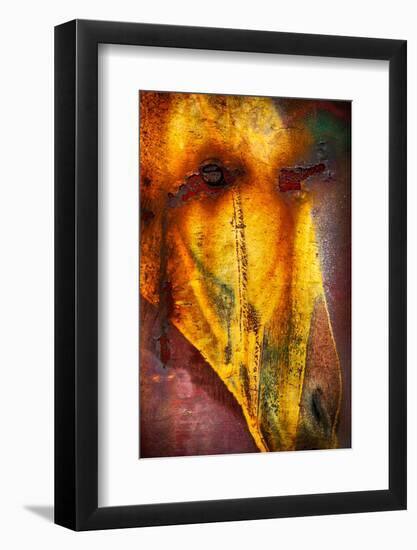 Crying Horse-Ursula Abresch-Framed Photographic Print