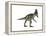 Cryolophosaurus Dinosaur-Stocktrek Images-Framed Stretched Canvas