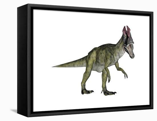 Cryolophosaurus Dinosaur-Stocktrek Images-Framed Stretched Canvas