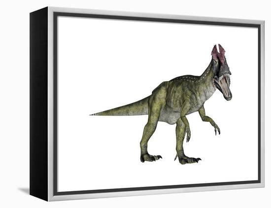 Cryolophosaurus Dinosaur-Stocktrek Images-Framed Stretched Canvas
