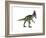 Cryolophosaurus Dinosaur-Stocktrek Images-Framed Art Print