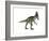 Cryolophosaurus Dinosaur-Stocktrek Images-Framed Art Print